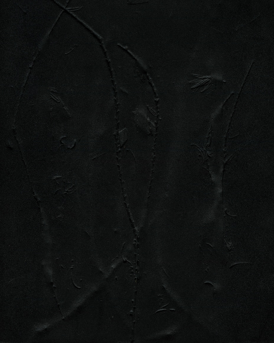 Dawn Roe  Yew Remnants on Film (Imprint) from the series, "Conditions for an Unfinished Work of Mourning: Wretched Yew", 2020  Pigment print on Hahnemuhle Photo Rag Paper  10 x 8 inches (paper size), almost black imprint of yew tree leaves on 35mm film