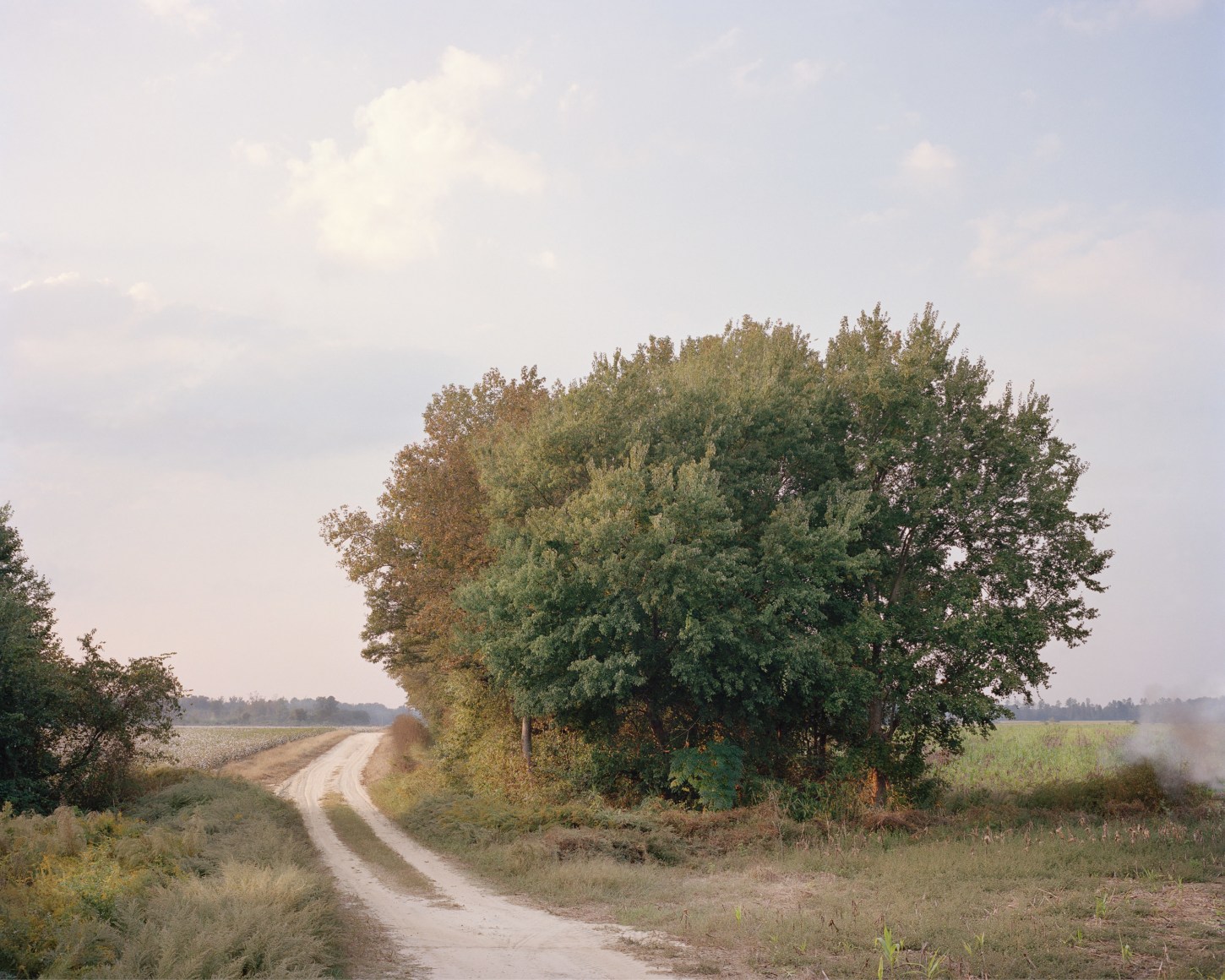 McNair Evans, Cotton Harvest, Archival pigment print, 20 x 25 inches and 32 x 40 inches, Editions of 5