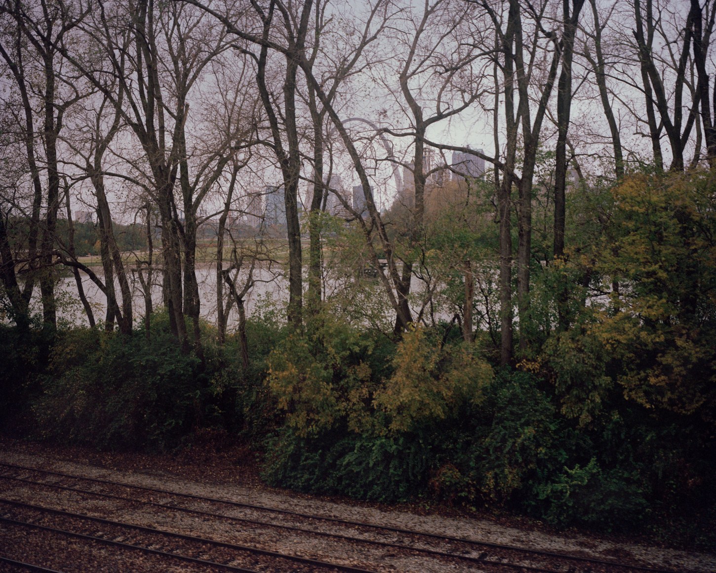 Dreamy landscape from train window, by McNair Evans