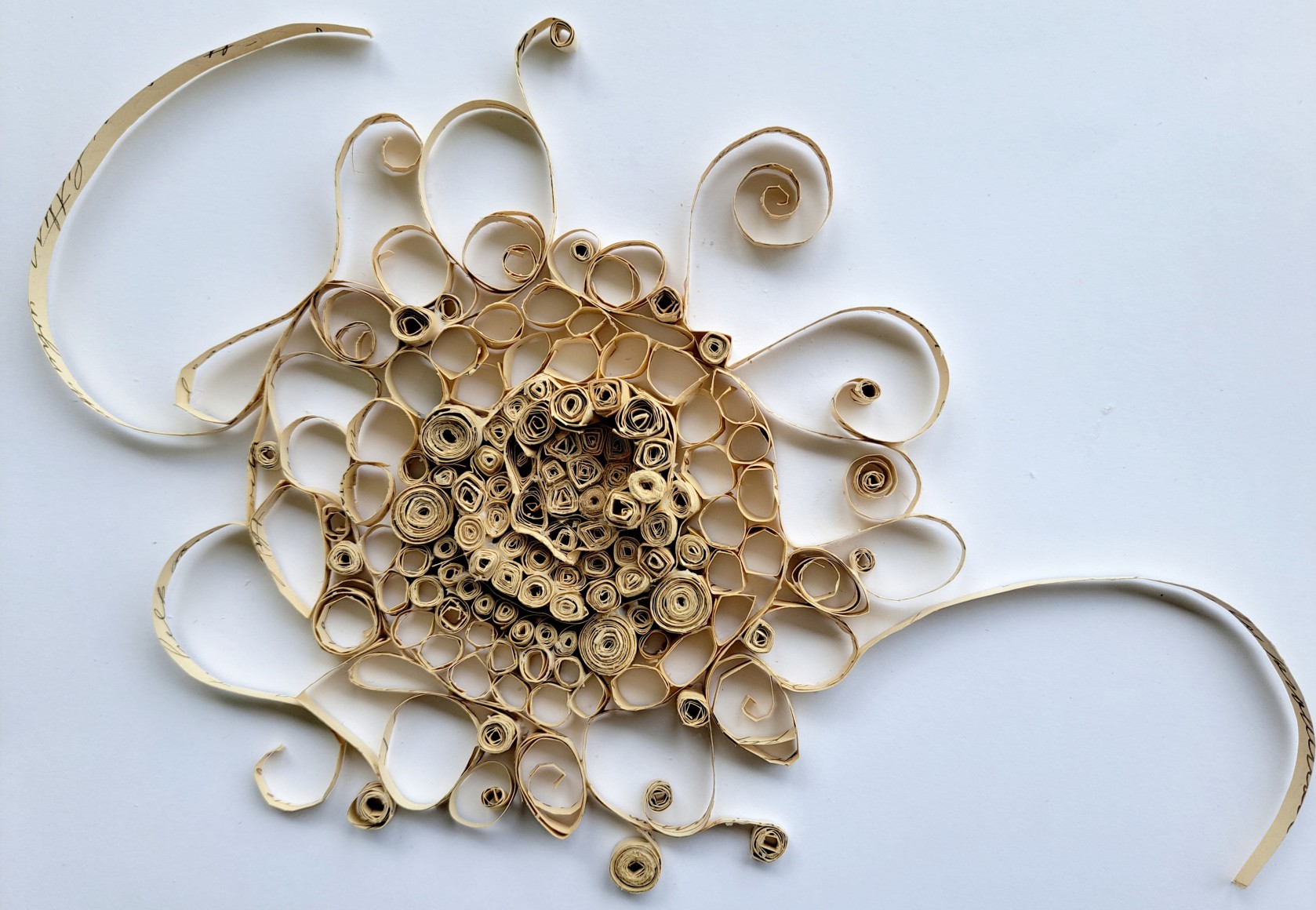 flat paper sculpture made from a cut and curled antique letter