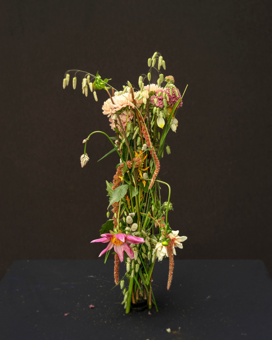 Still life photograph of flowers