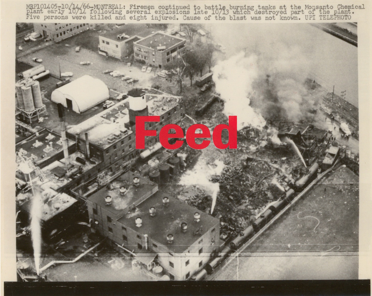 Kirsten Stolle  Feed, from the series By the Ton, 2016  Silkscreen on archival pigment print  8h x 10w in 20.32h x 25.40w cm  Edition 1/3  KS_034