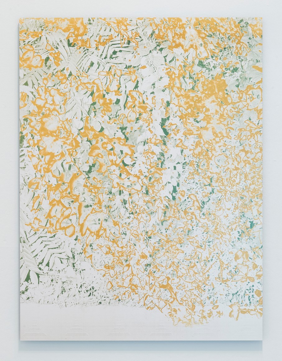 Ridge, Tropical Haze