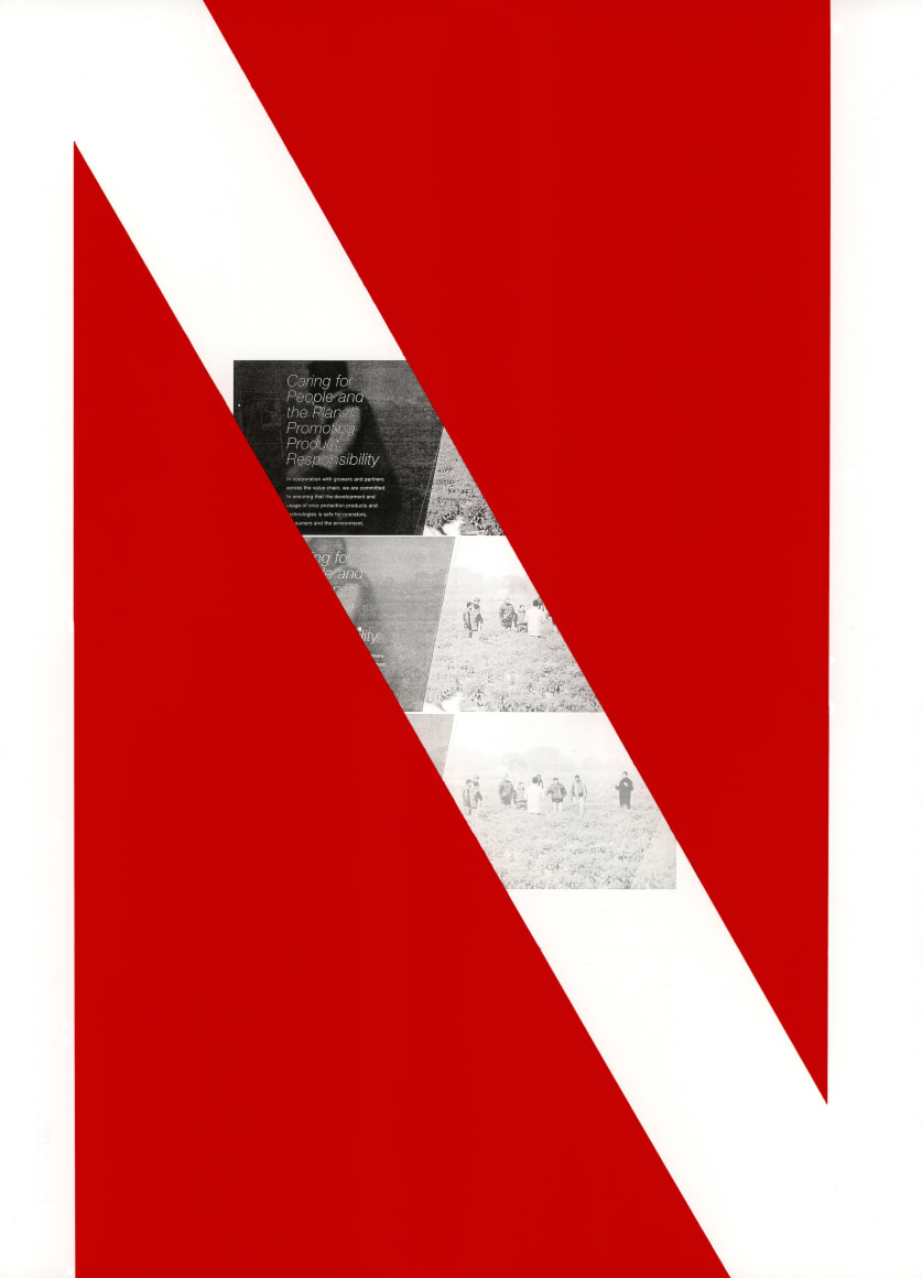 Black and white Monsanto advertisement multiplied and overlayed with red flags