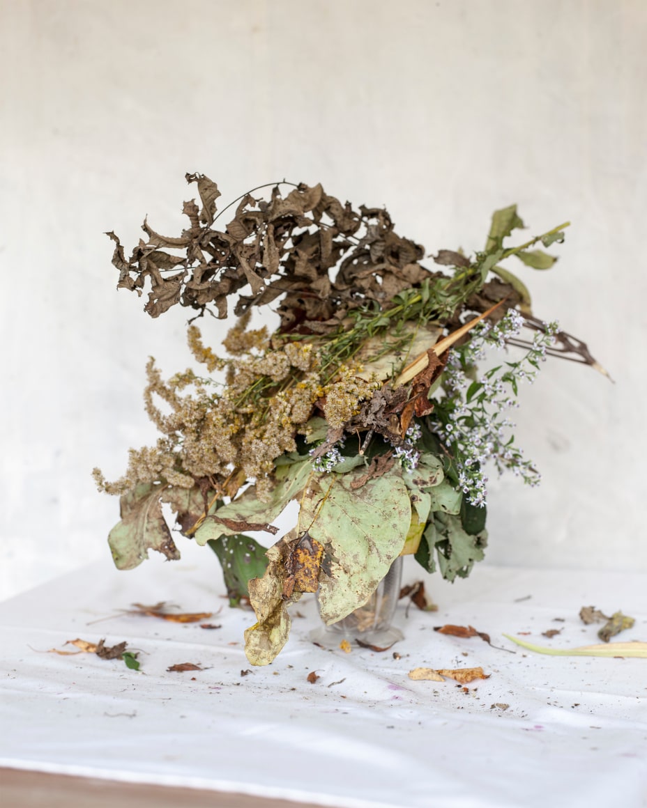 James Henkel  Fall #6, 2017  Archival pigment print  20 x 16 inches  Edition of 5  30 x 24 inches  Edition of 3, contemporary art, photography, Fall, still life