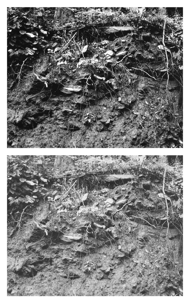 Gesche Würfel  Nantahala River, NC (1), version 1, 2020-2021  Gelatin silver print (matte fiber paper)  8h x 10w in 20.32h x 25.40w cm  GW_027, Black and White, Landscape, Close up of the side of a hill
