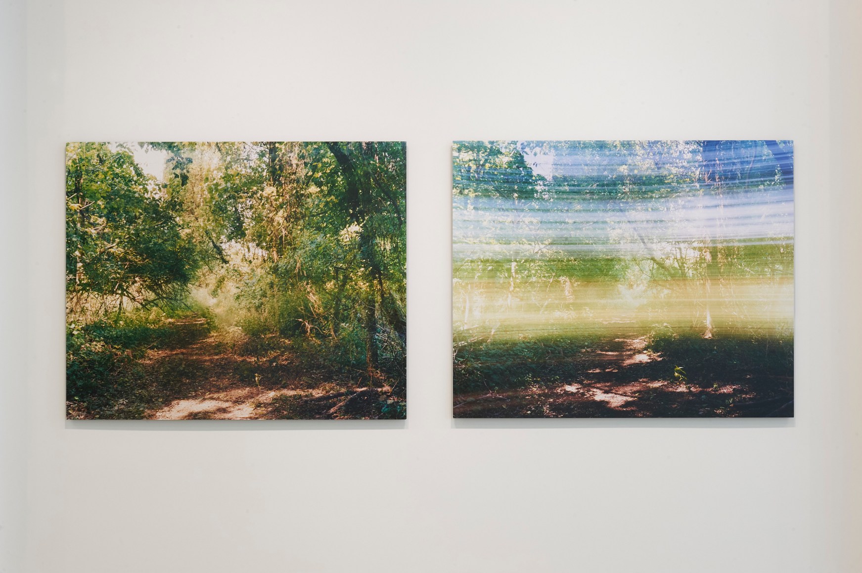 Turning Back (Quickly Panning), Turning Back (Slowly Panning), Diptych