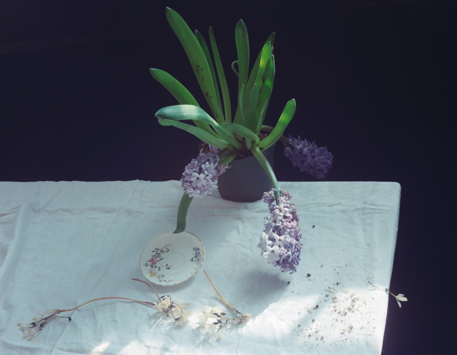 Laura Letinsky, Untitled #4, 1999, from the series Hardly More Than Ever, archival pigment print, 19.5 x 24.75 inches, edition of 15