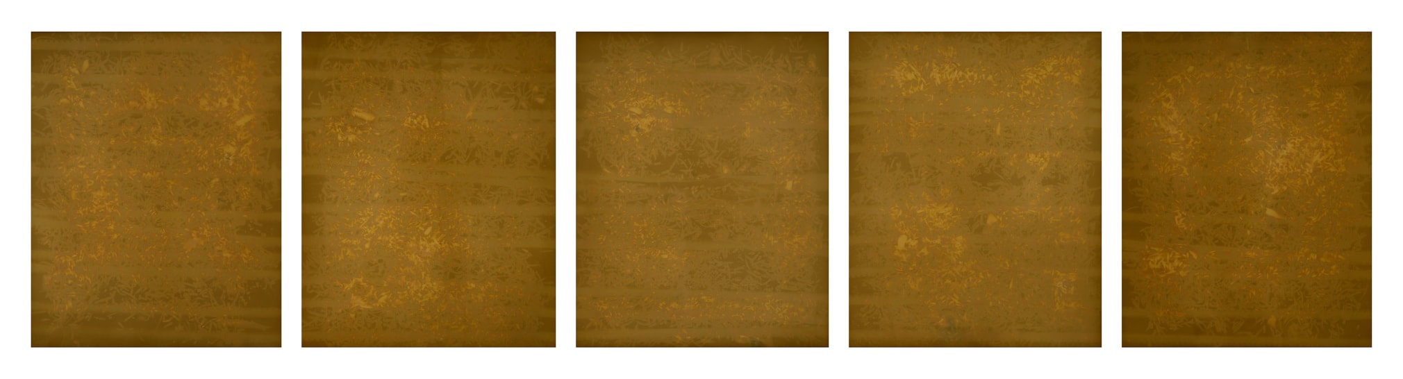 Dawn Roe  Yew Leaves and Film from the series, "Conditions for an Unfinished Work of Mourning: Wretched Yew", 2020  Toned Gelatin Silver prints on fiber-based paper  Set of 5, 10 x 8 inches each (paper size), brown toned images of yew tree leaves on 35mm film
