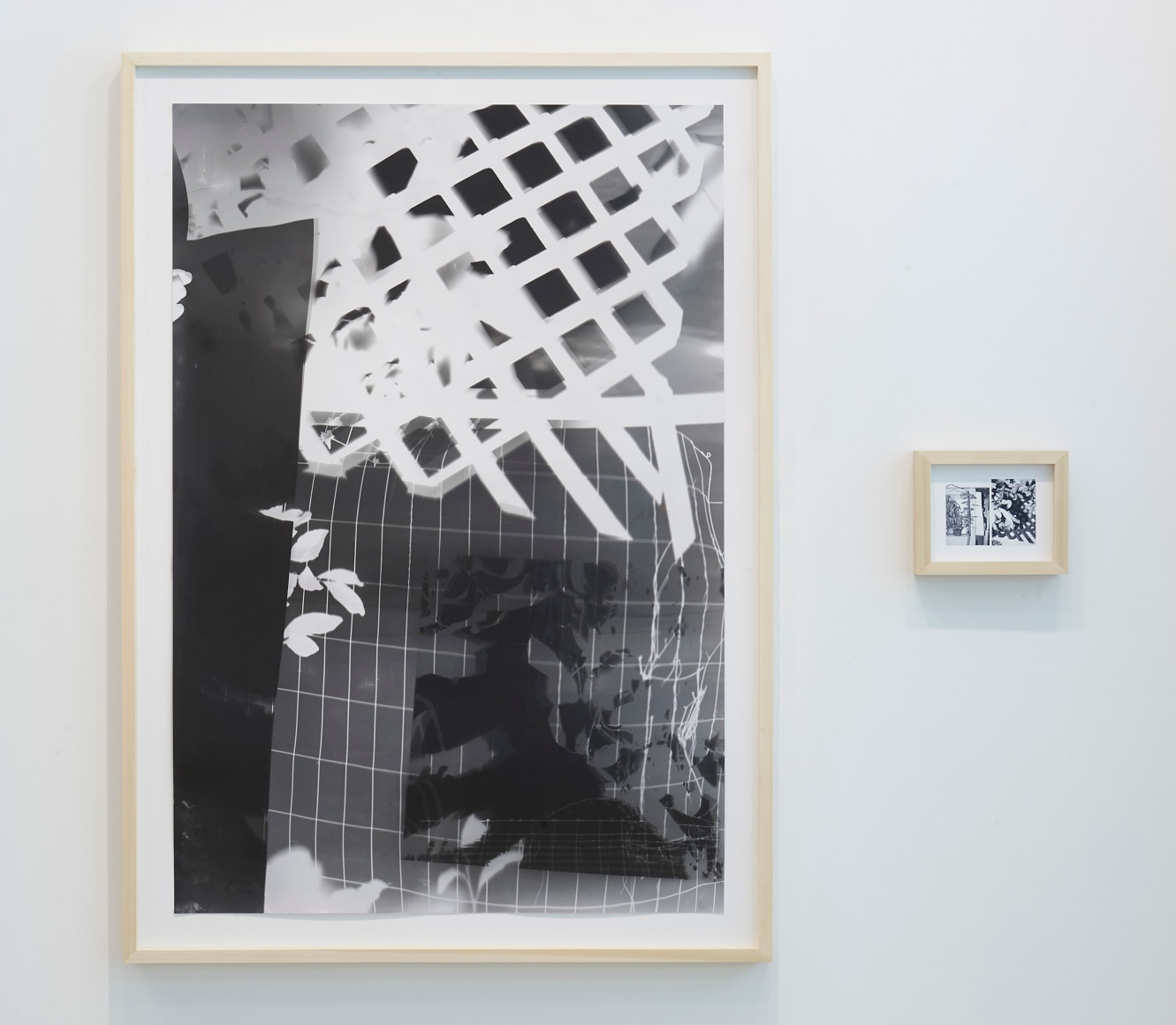 Shot/Reverse Shot, Studio Gardening at Night #3