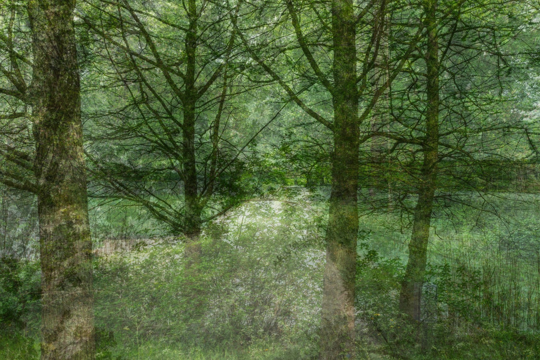 Layered photograph by Gesche Wurfel