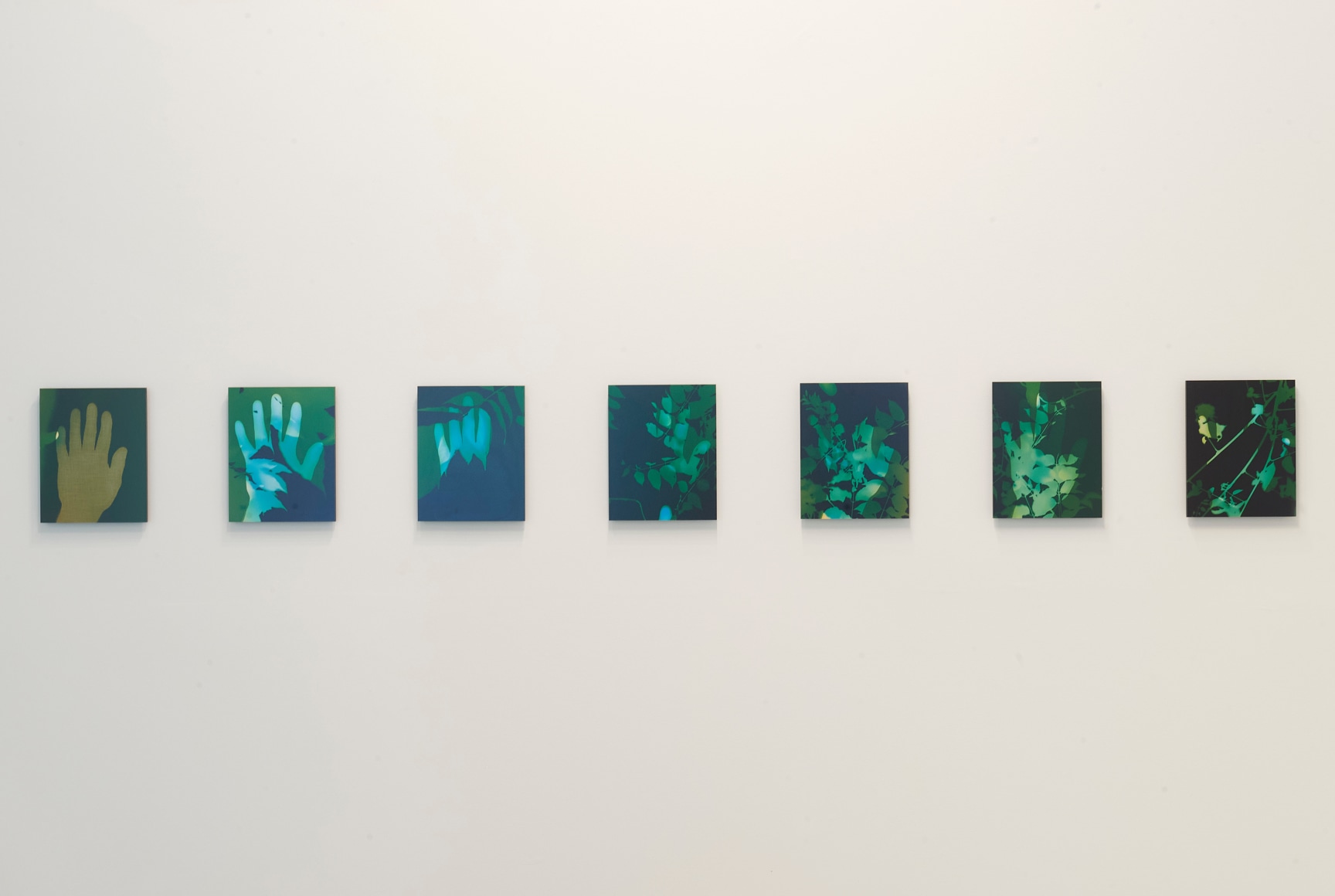 Palm Fade (Self Portrait in a Garden)