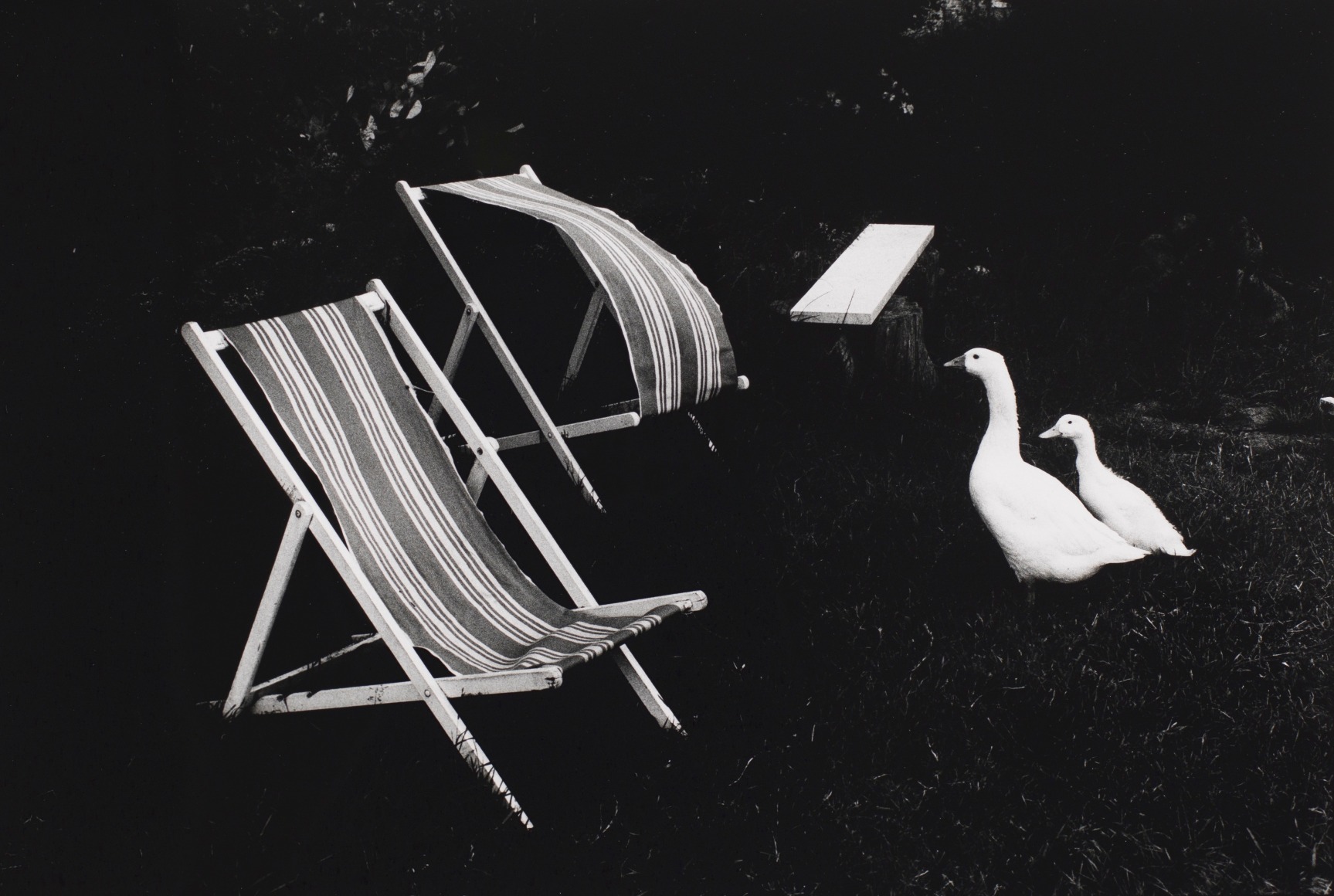 Philippe Sala&uuml;n (1943-)  Ty Cam, 1977  Gelatin silver print  12 x 16 inches (paper) 8 x 12 inches (image)  PS_004. Black and White Photography