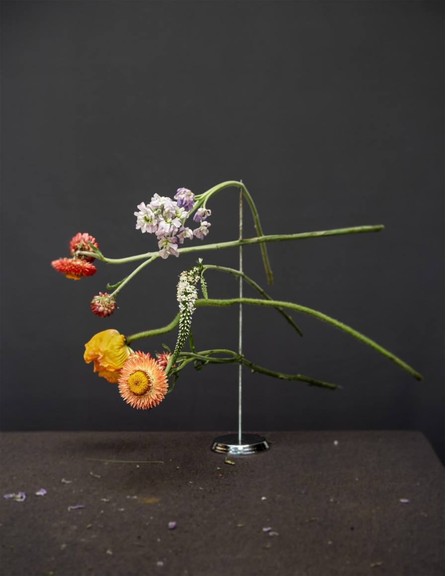 Still life photograph of flowers