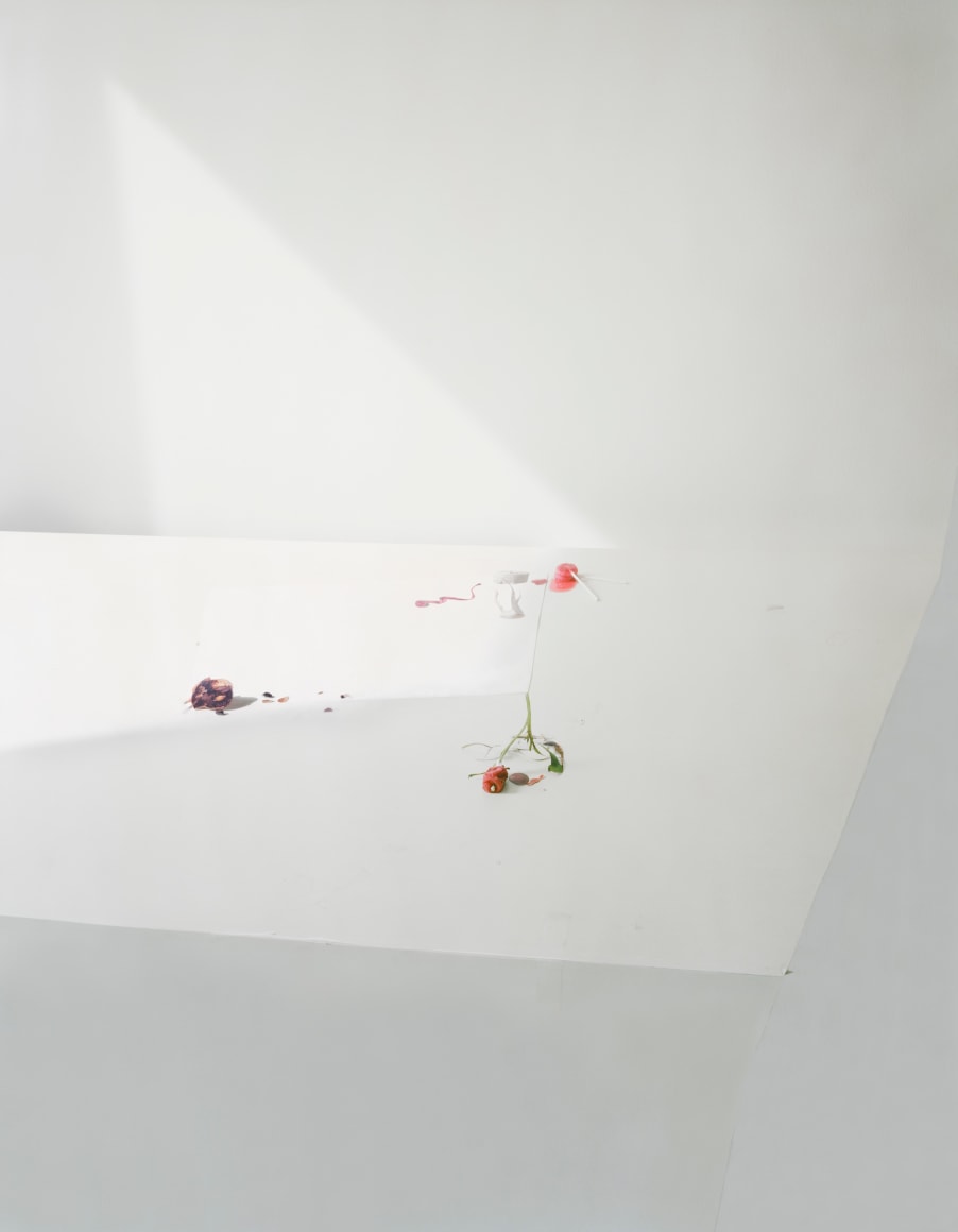 Laura Letinsky , Untitled #21, from the series Ill Form and Void Full, 2011,  Archival Pigment Print,  53 1/4h x 43w in, Edition of 9, Photography