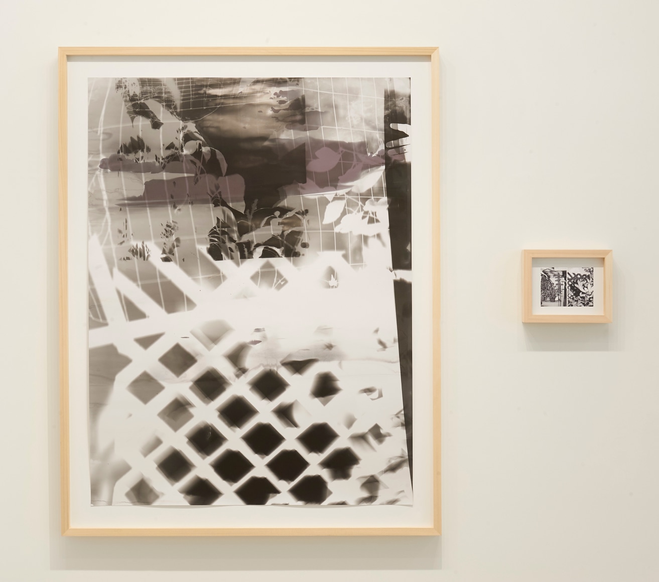 Shot/Reverse Shot, Studio Gardening at Night #2, July 26, 2020