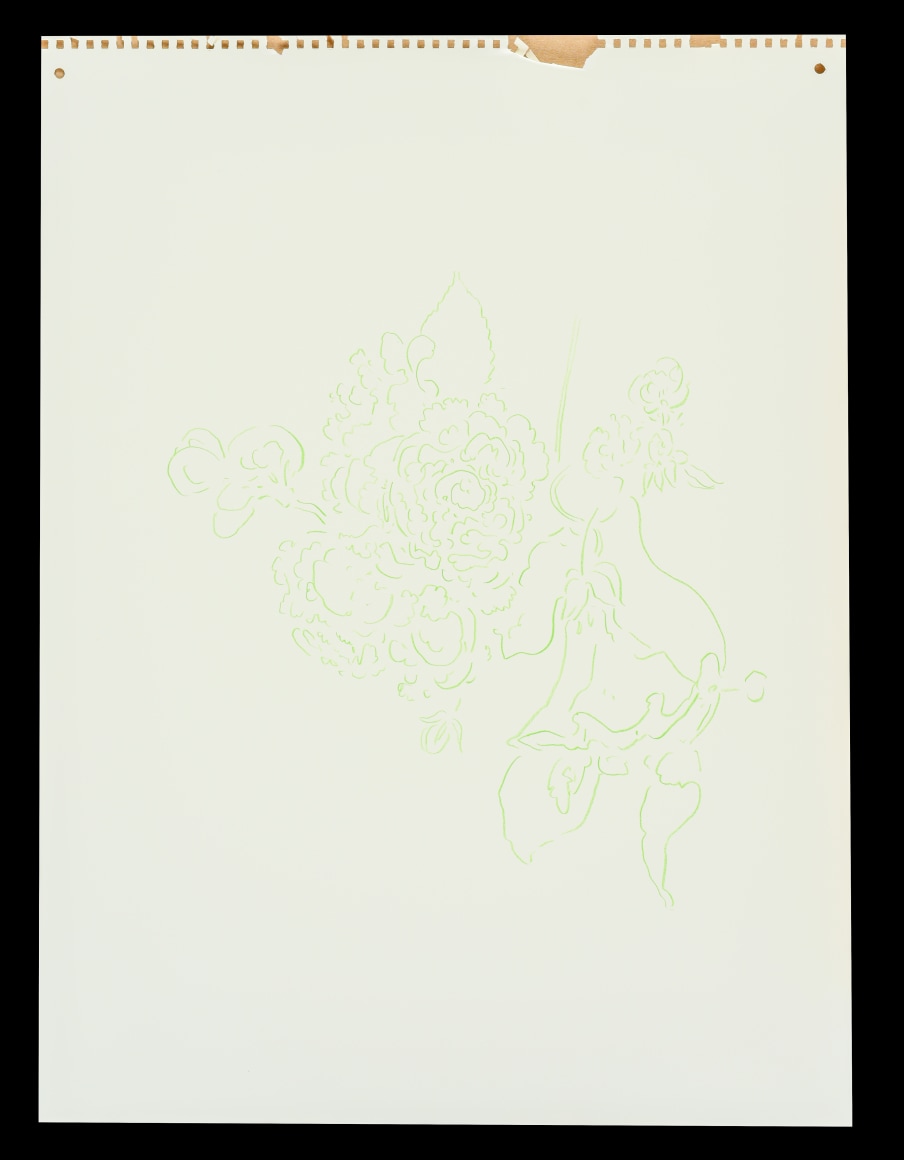 rosesmorninggloriesgreen