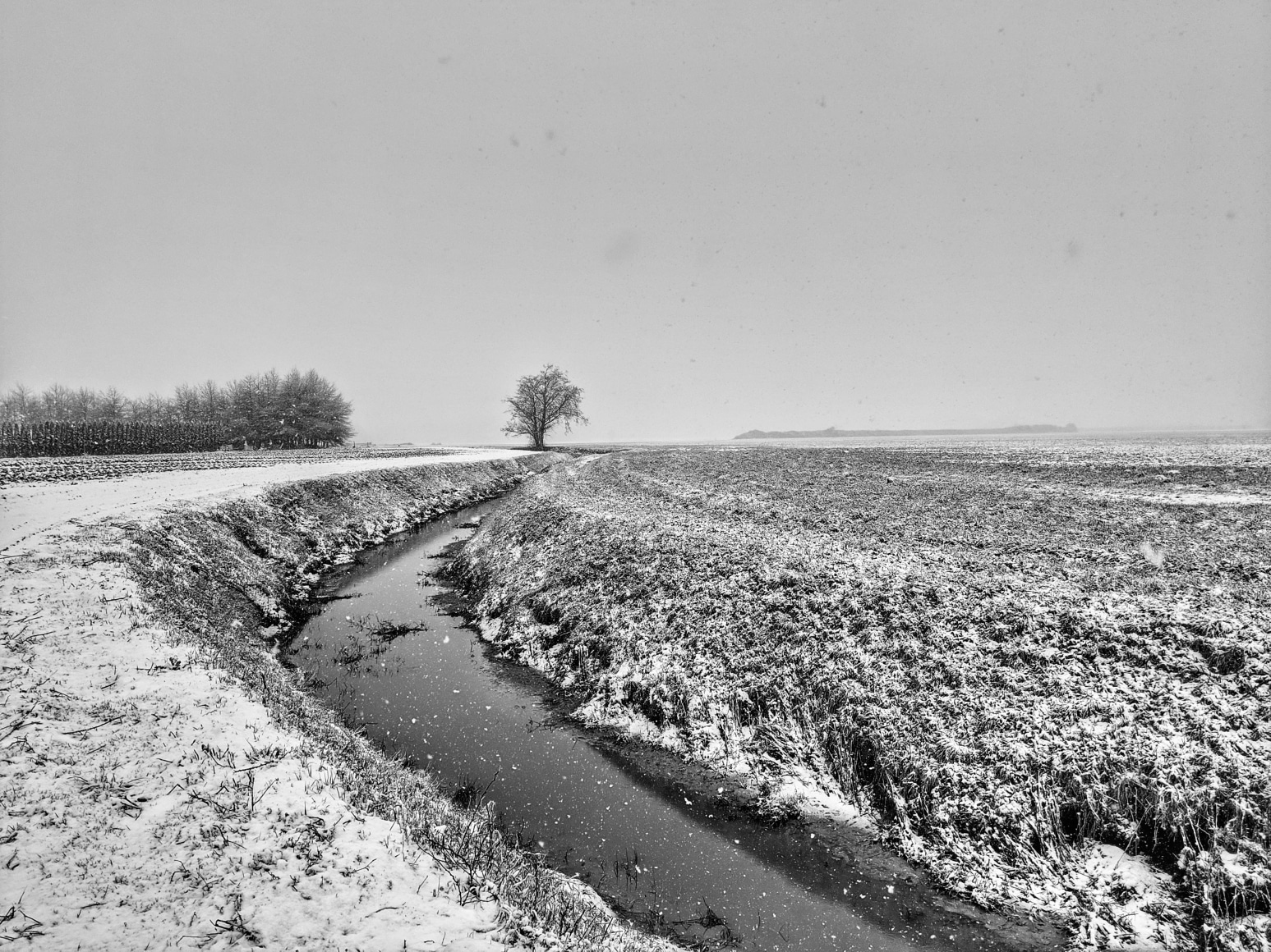 winterditch