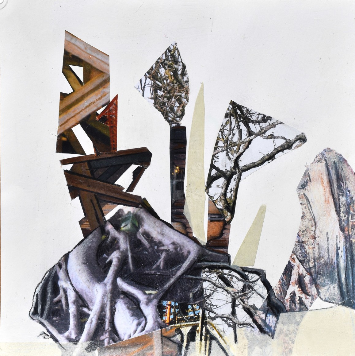 transplant series III