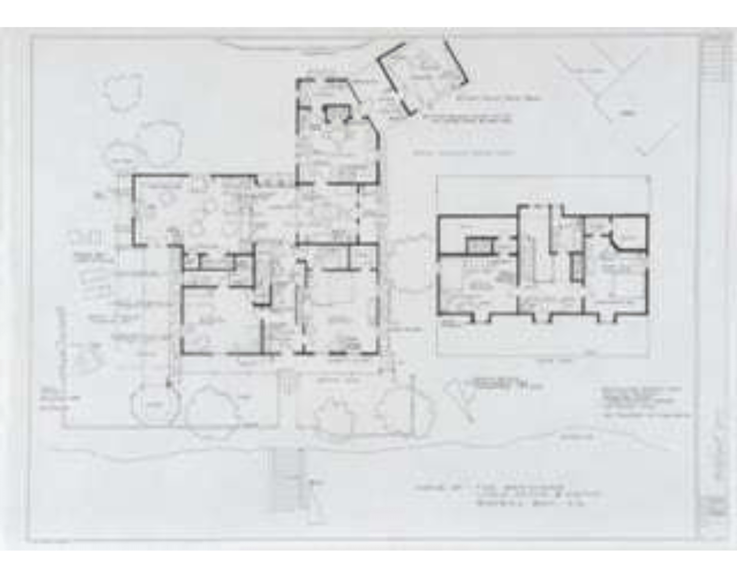 Home of the Brenners (The Birds), 2007