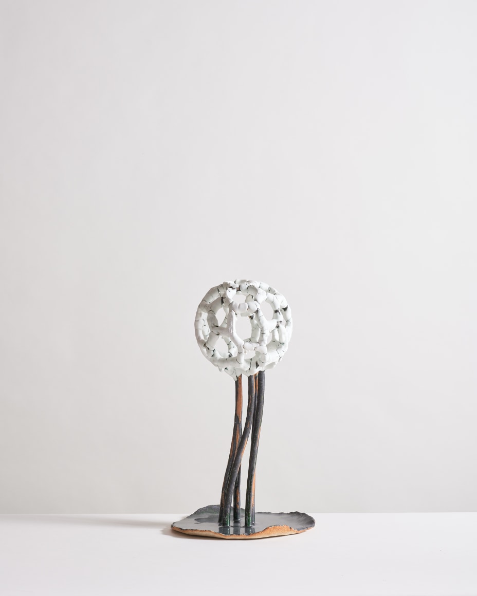 Bente Skj&oslash;ttgaard, Carbon60 #2014, 2020