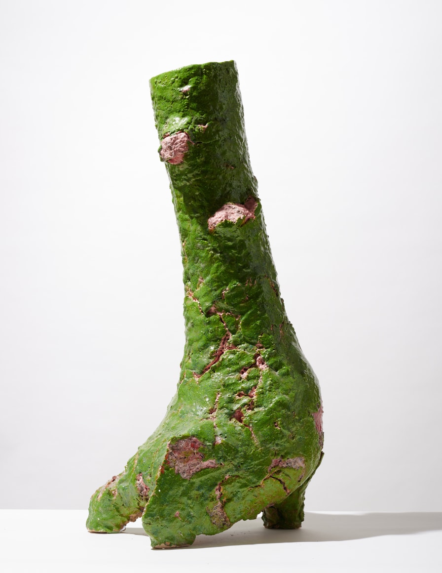 Aneta Regel, Mossy Buddy, 2015