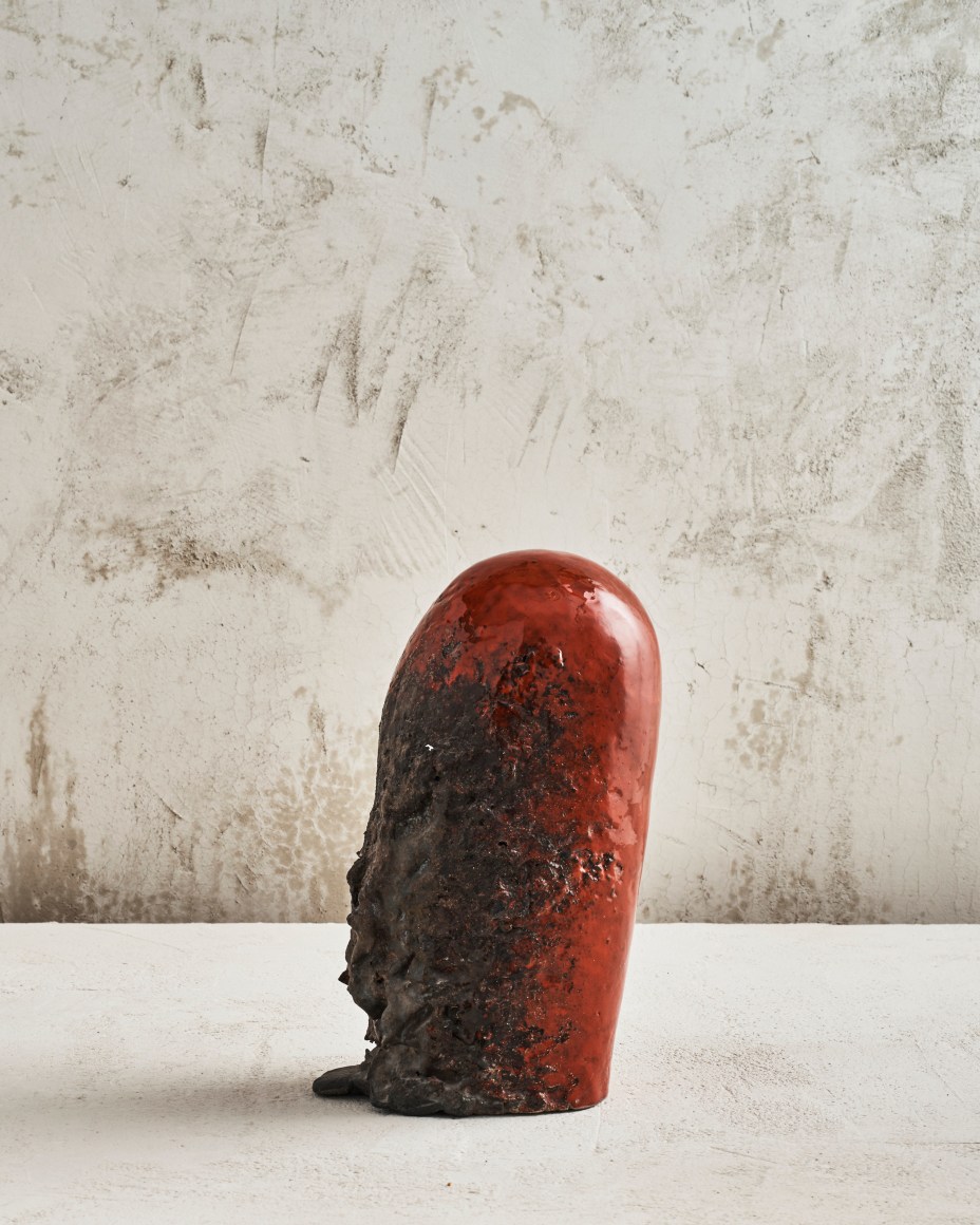  Aneta&nbsp;Regel In Transition, 2013