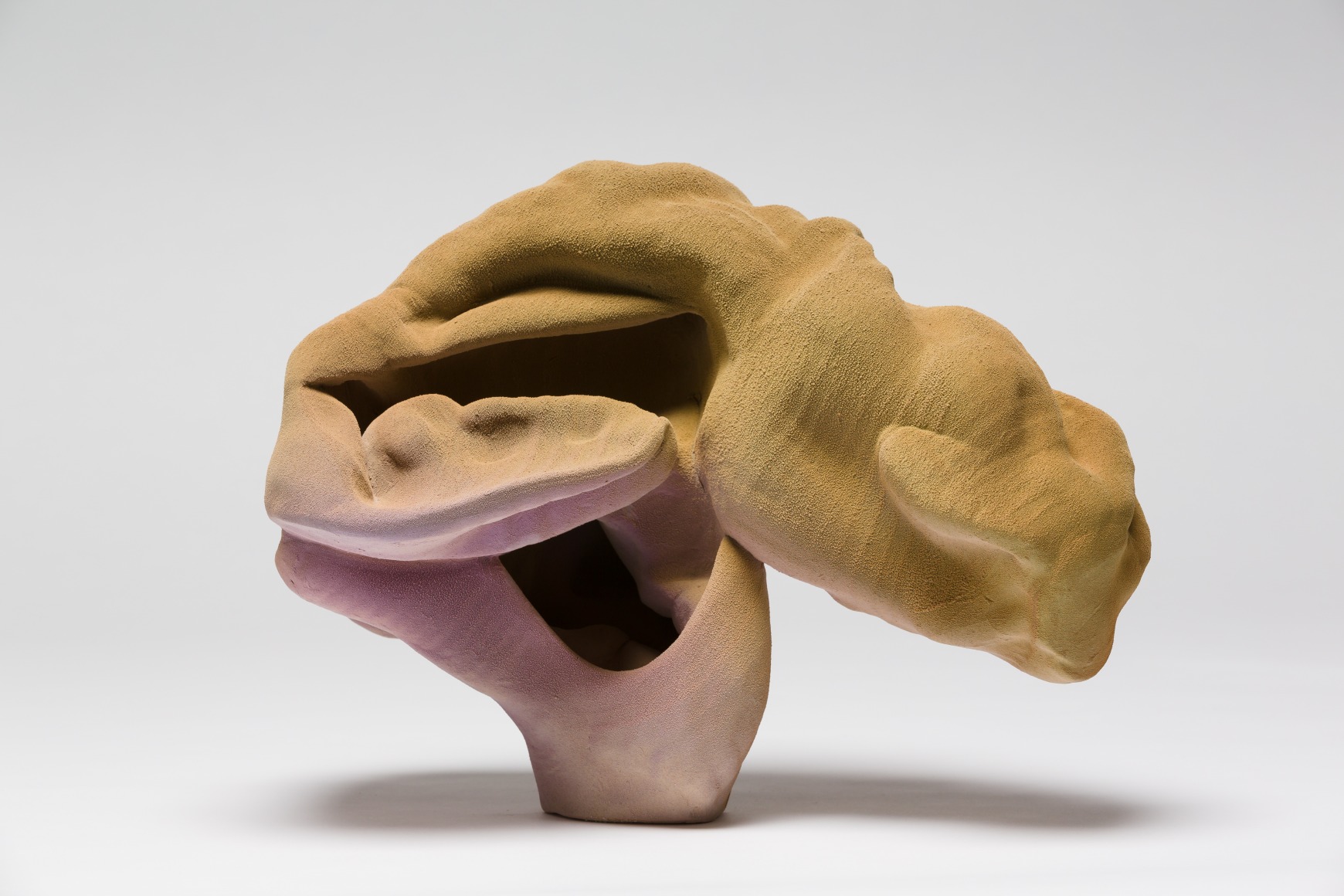  Anne Marie&nbsp;Laureys