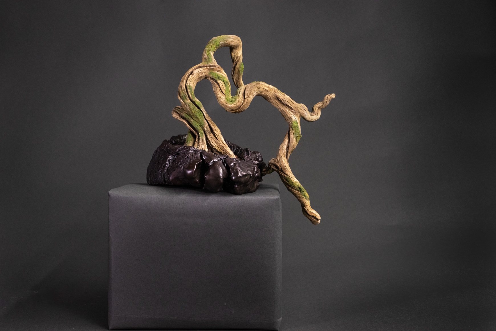 Eric Serritella, Potted Bonsai #1, 2021