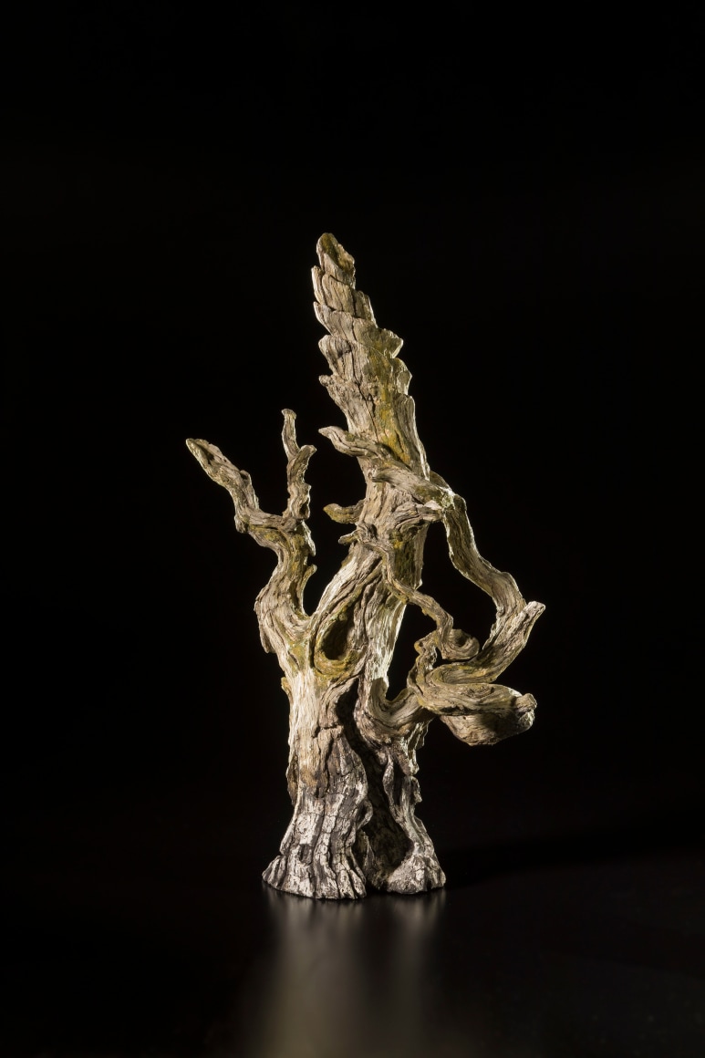  Eric&nbsp;Serritella Waiting for Heiwa, 2018