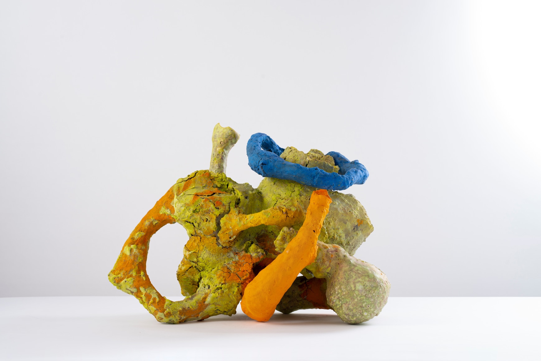  Aneta&nbsp;Regel Thumbleweed, 2018