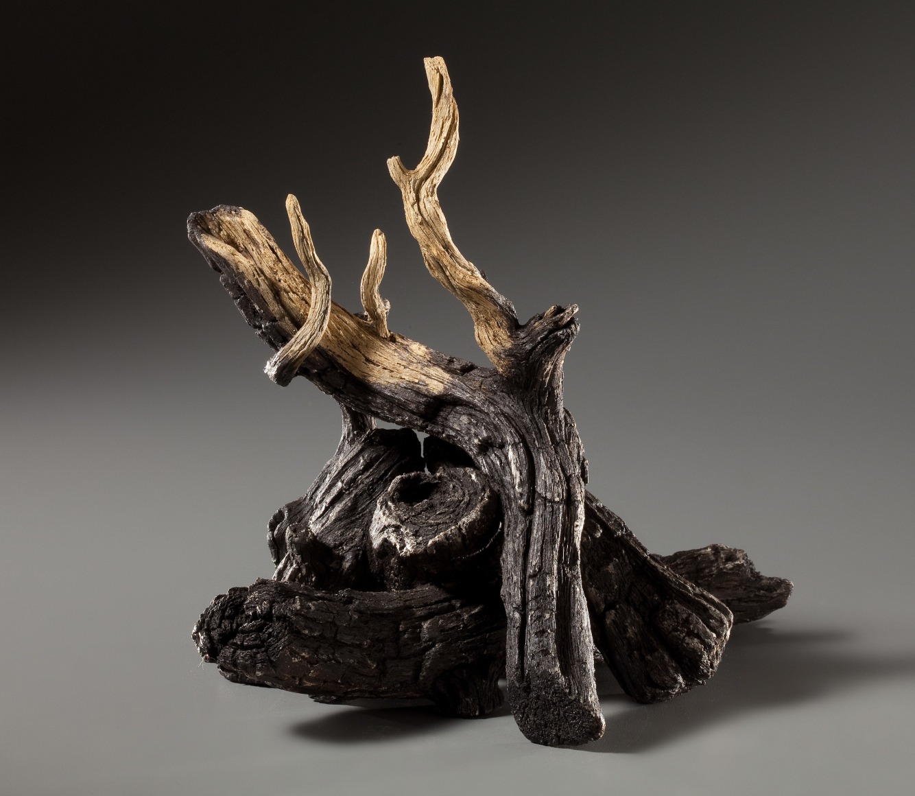 Eric Serritella, Campfire, 2021