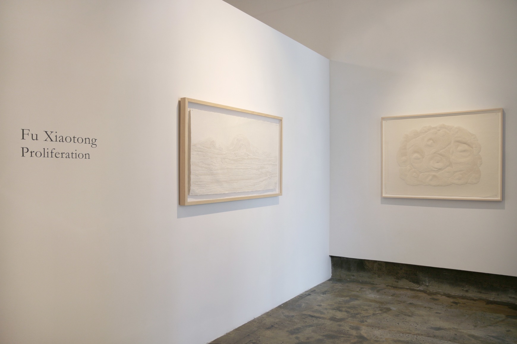 付小桐：蔓延- Fu Xiaotong - 展览- Chambers Fine Art