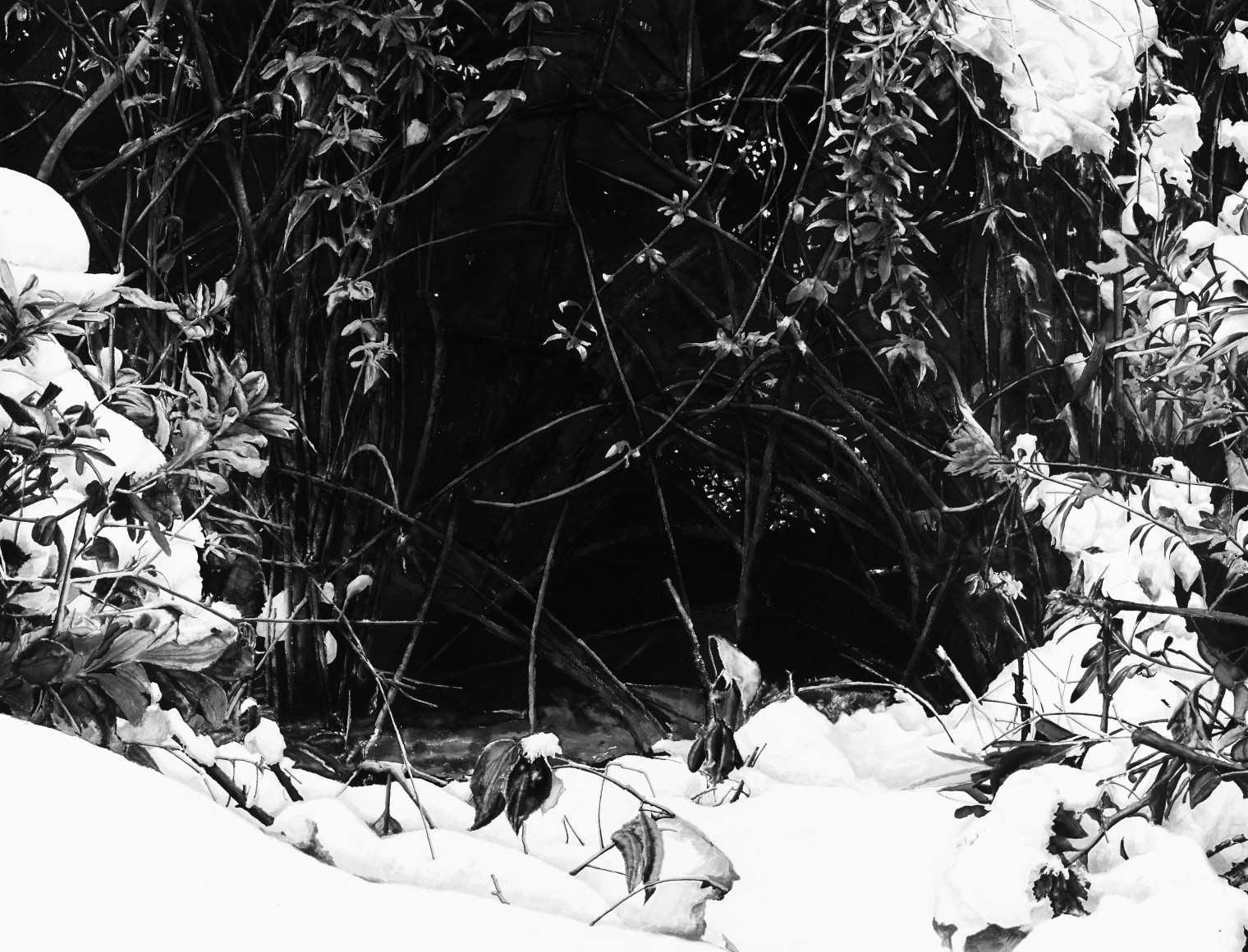 Auspicious Snow 19-3&nbsp;瑞雪19-3