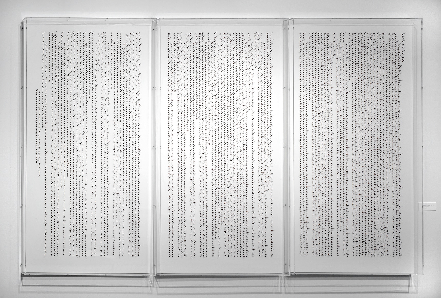 Manuscript of Nature VIII 自然的手稿之八, 2010
