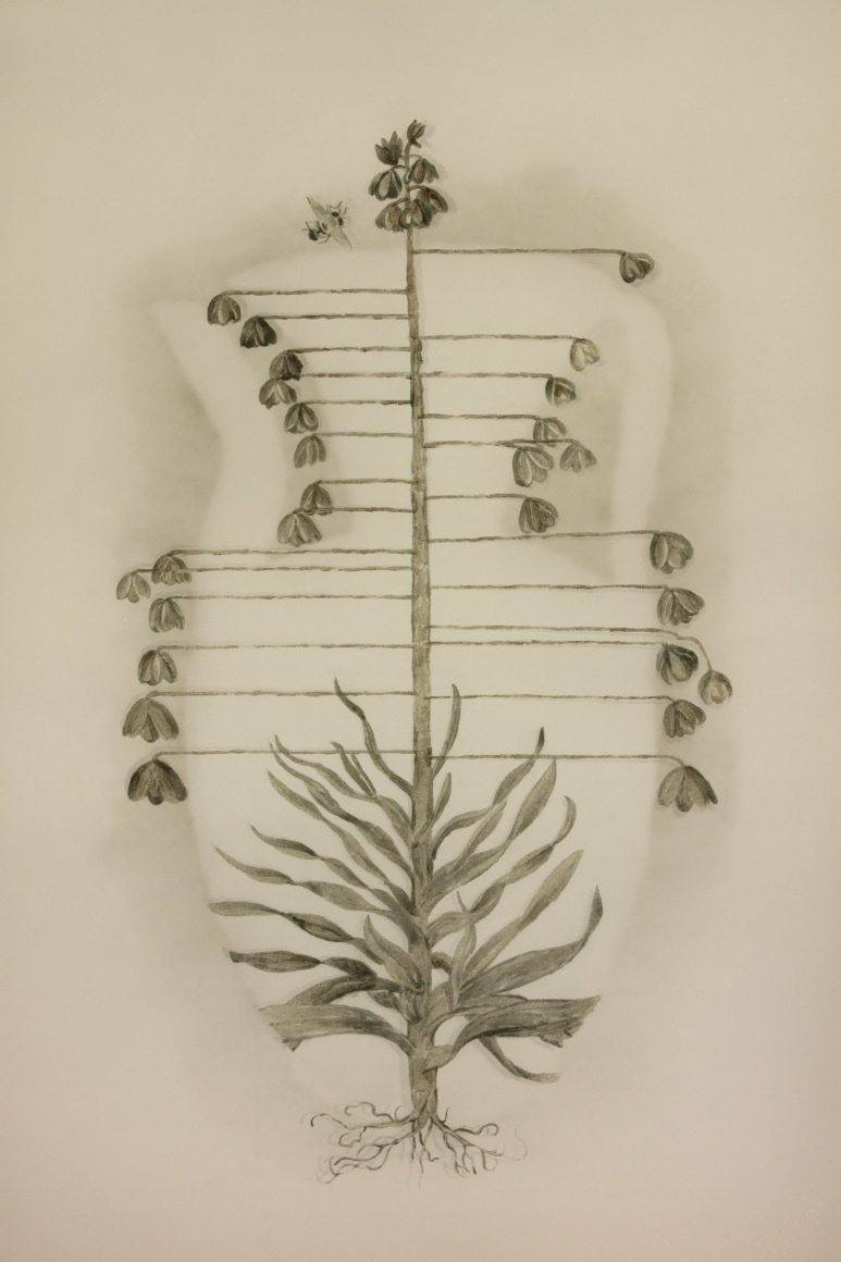 Vase of Flowers 瓶花, 2011     