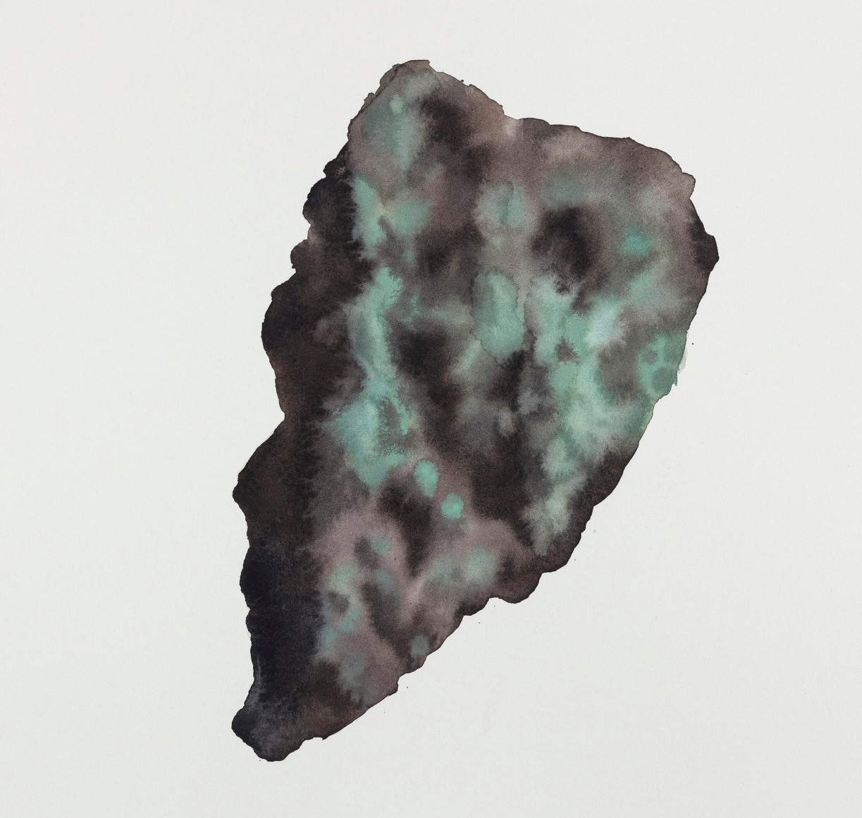 Guo Hongwei The Illustration Book of Natural Forms