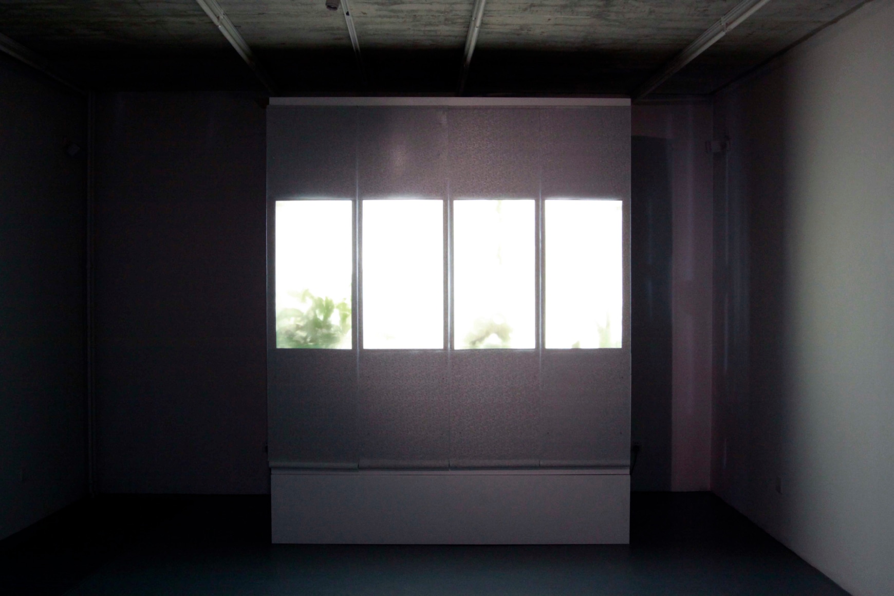 HyperFood, Installation view