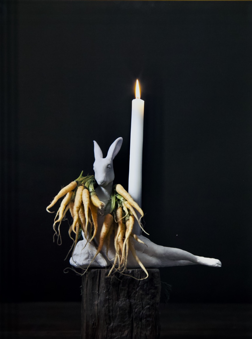 Rabbit and Carrot, 2022