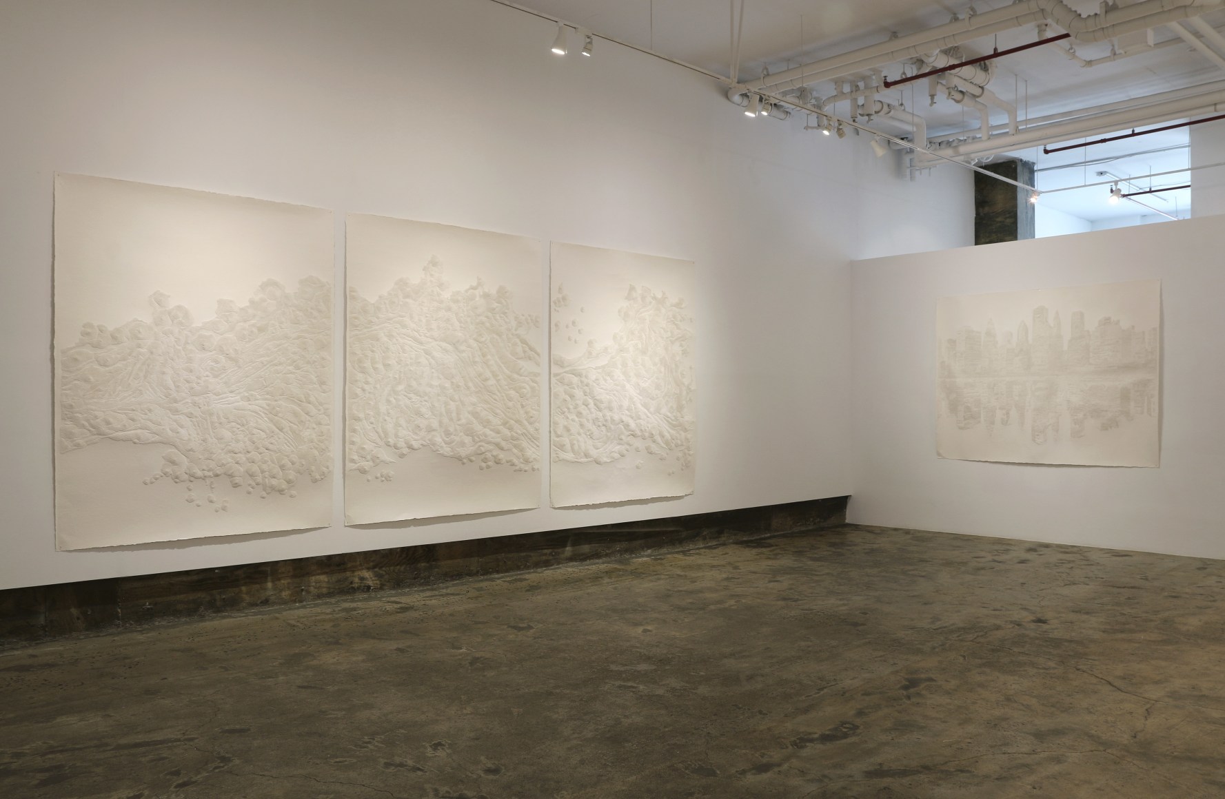 Fu Xiaotong: Proliferation