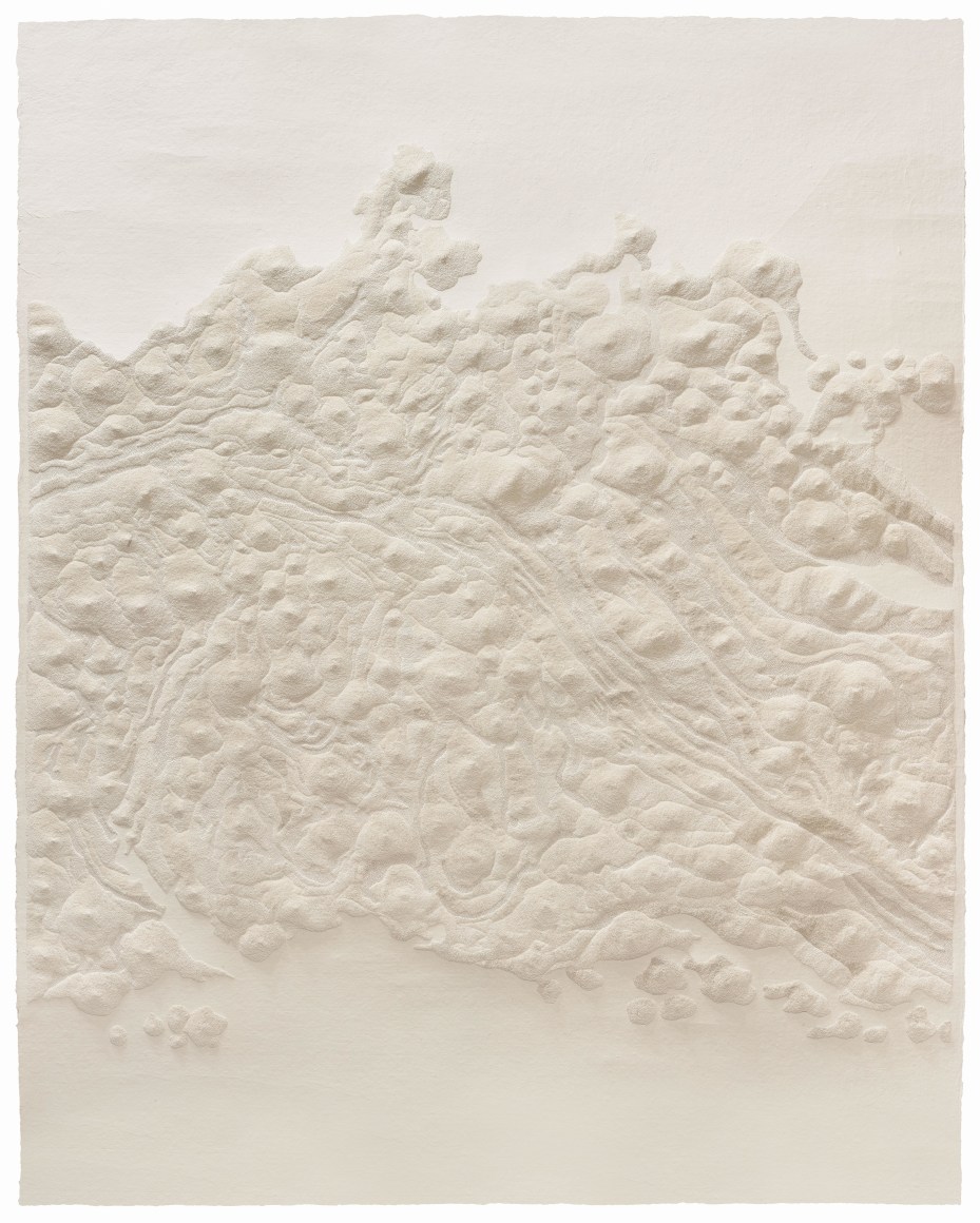 Fu Xiaotong 付小桐 (b.1976)