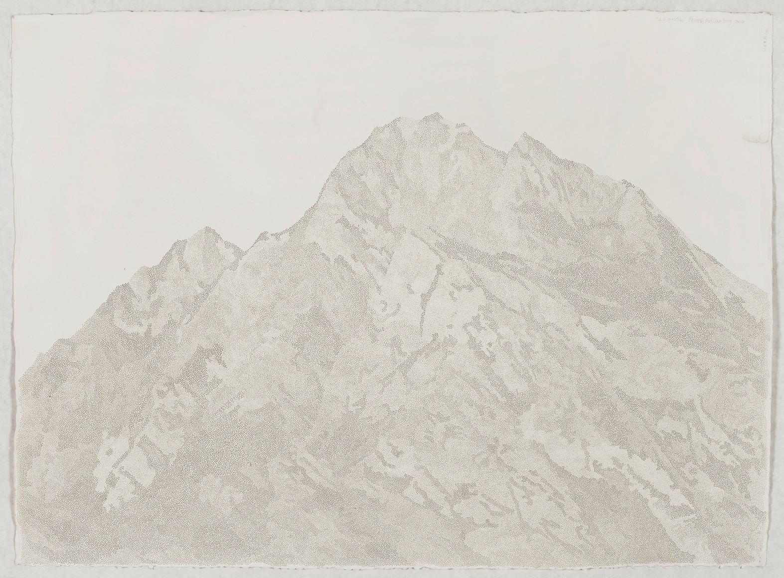 Fu Xiaotong 付小桐 (b. 1976)