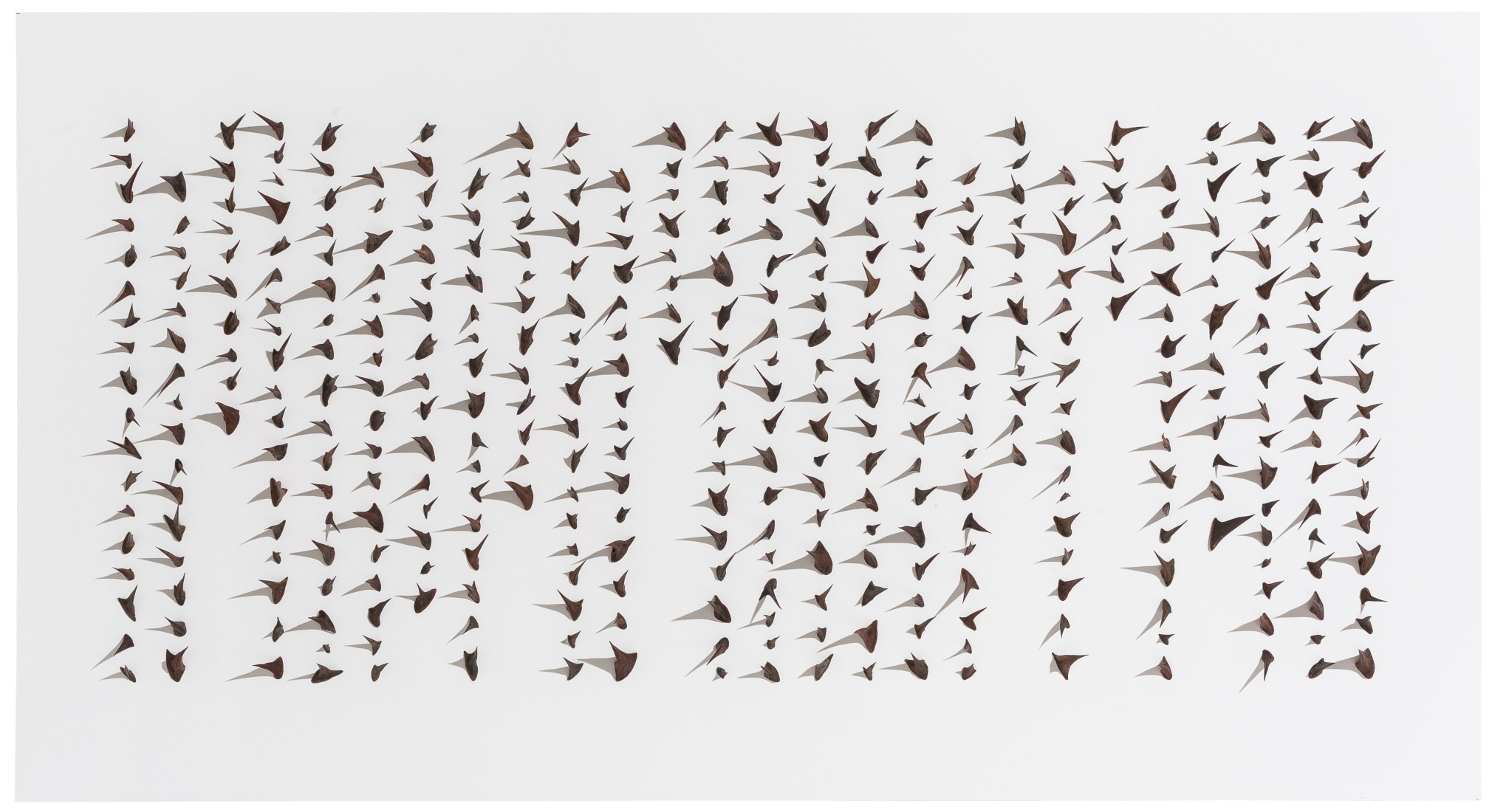 Cui Fei 崔斐 (b. 1970), Manuscript of Nature VIII_III_ ii 自然的手稿之八(三)2