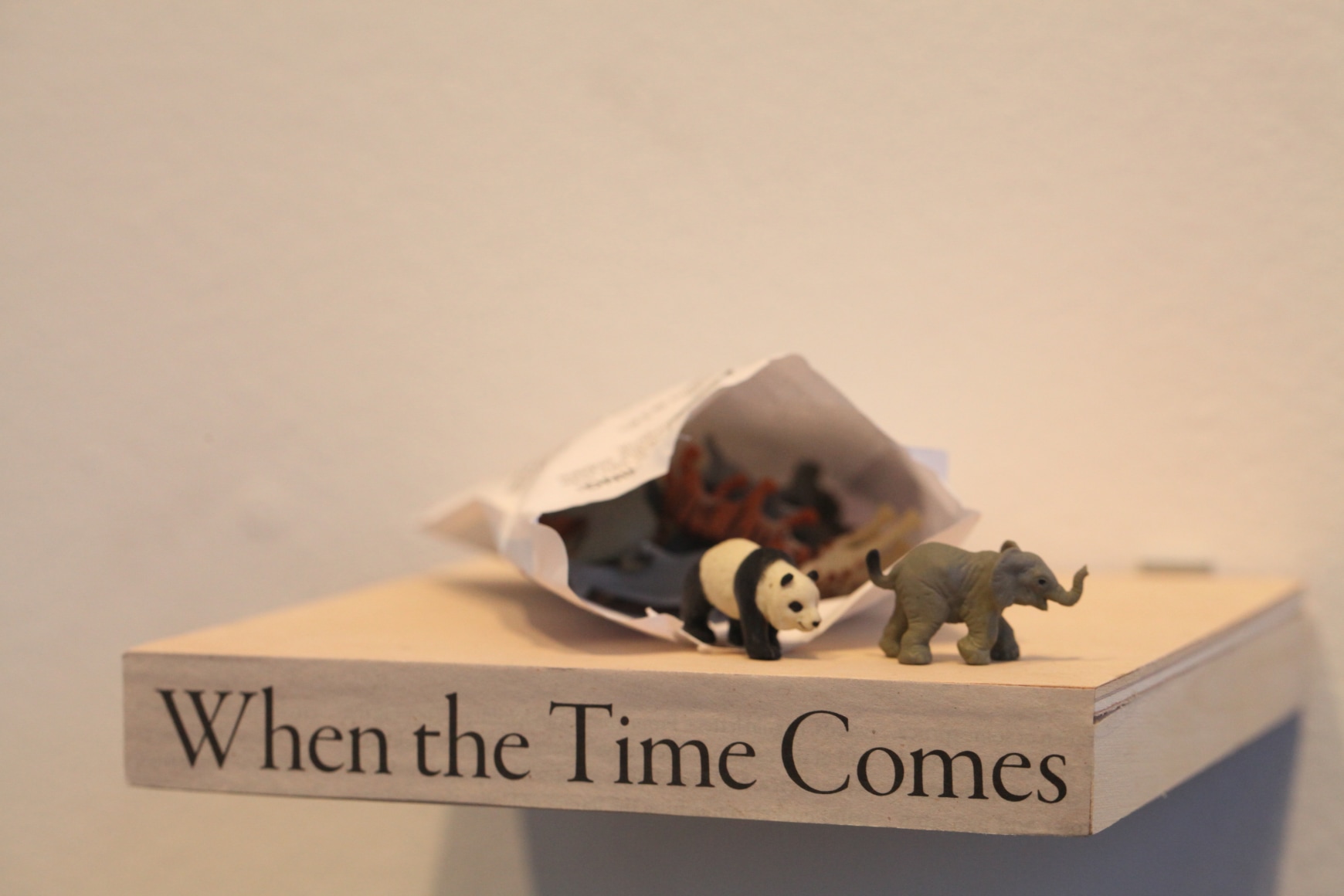 When the time comes - A group of landscape works from The Curiosity Box 當時刻來臨 - 好奇盒裡一些關於風景的創作
