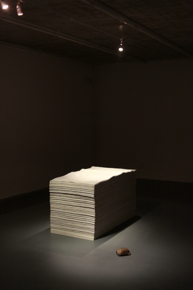 Jia Hongyu 贾宏宇 (b. 1982), Arcane Search 勾沉
