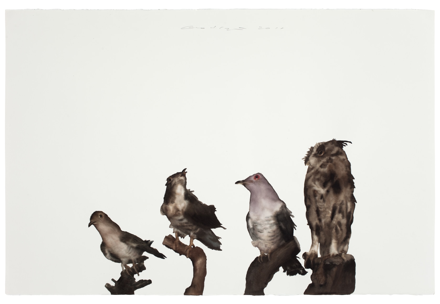 Bird No .2 鸟2, 2011