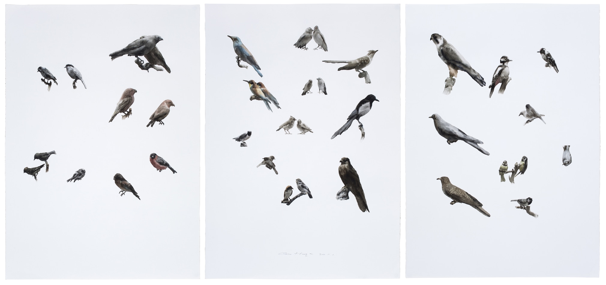 Guo Hongwei 郭鸿蔚（b.1982）