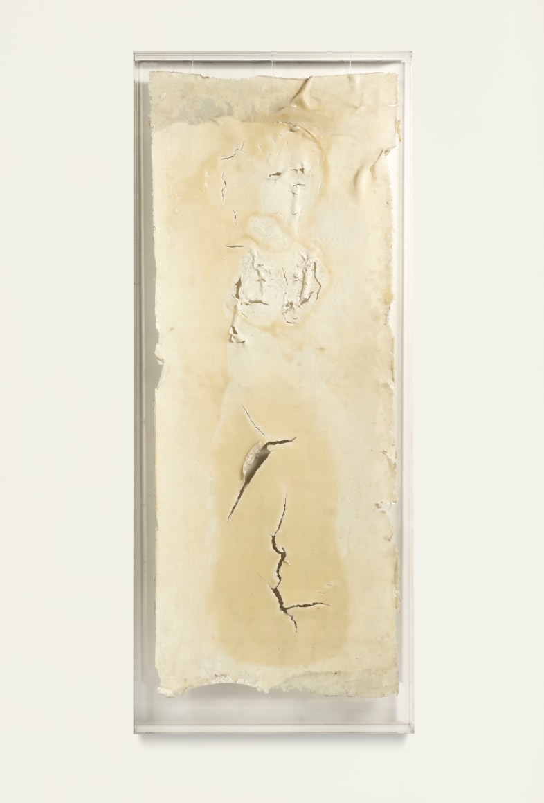 Shang Yang 尚扬 (b. 1942)