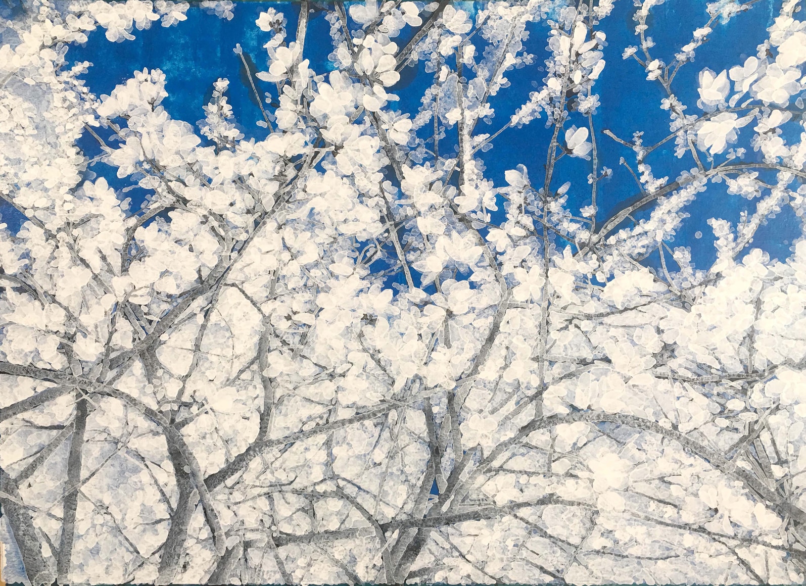 Snow-white No.1雪色No.1 2018