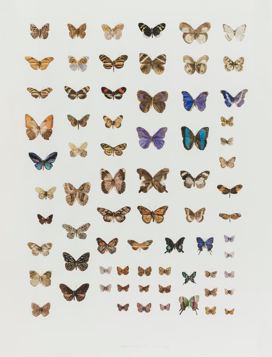 Guo Hongwei 郭鸿蔚 (b. 1982), Insect No. 11 虫11, 2014